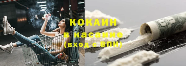 дживик Снежногорск