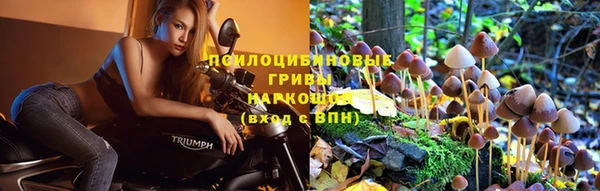 а пвп мука Баксан